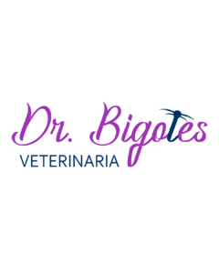 Cliente Doctor Bigotes 01