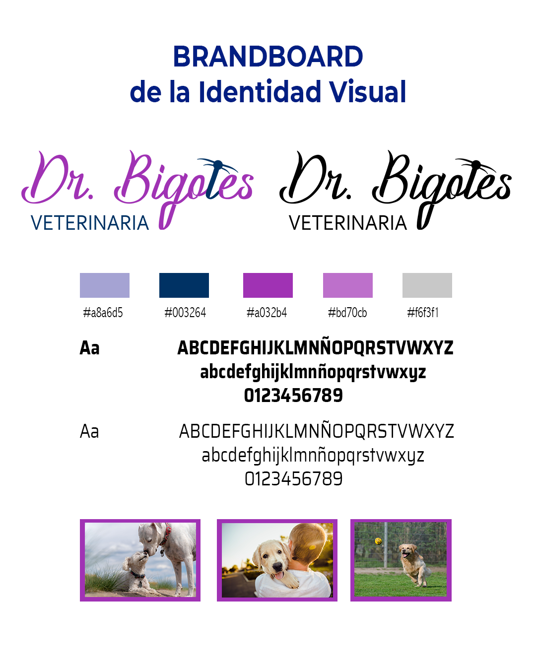 Cliente Doctor Bigotes 02